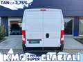 Citroen Jumper 35 L2H2 2.2 bluehdi 140cv S&S Business IVA ESCLUSA Blanc - thumbnail 6