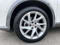 CUPRA Formentor 1,5 TSI DSG | ACC*NAVI HIGH Weiß - thumbnail 36