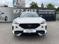 CUPRA Formentor 1,5 TSI DSG | ACC*NAVI HIGH Weiß - thumbnail 8