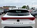 CUPRA Formentor 1,5 TSI DSG | ACC*NAVI HIGH Weiß - thumbnail 37