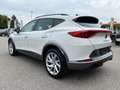 CUPRA Formentor 1,5 TSI DSG | ACC*NAVI HIGH Weiß - thumbnail 5