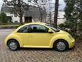 Volkswagen Beetle Beetle 2,0 Żółty - thumbnail 3