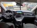 Mercedes-Benz Marco Polo 250d HORIZON Edition DISTRO WW-Standh Gris - thumbnail 11