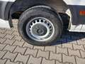 Volkswagen Crafter VW Crafter 35 T6 Kastenwagen L3H3 TDI Weiß - thumbnail 3