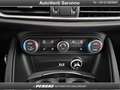 Alfa Romeo Stelvio Stelvio 2.2 Turbodiesel 210 CV AT8 Q4 Competizione Bleu - thumbnail 26