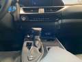Lexus UX 300h F Sport 2WD Bianco - thumbnail 15