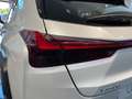 Lexus UX 300h F Sport 2WD Blanco - thumbnail 24