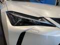 Lexus UX 300h F Sport 2WD Wit - thumbnail 23