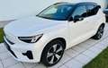 Volvo XC40 Recharge Pure Electric 69kWh Recharge Plus - 1.... Weiß - thumbnail 12