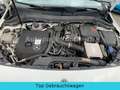 Mercedes-Benz B 250 e*Hybrid*NAVI*HU 12-2026*Progressive*MBUX Weiß - thumbnail 19