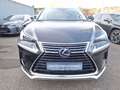 Lexus NX 300h Style Edition Leder Navi LED ACC El. Heckklappe Ap Black - thumbnail 8