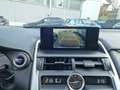 Lexus NX 300h Style Edition Leder Navi LED ACC El. Heckklappe Ap Black - thumbnail 14