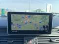 Audi Q5 40 TDI quattro intense Grau - thumbnail 19