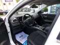 Renault Kadjar ENERGY dCi 110 EDC Limited Limited Blanc - thumbnail 11