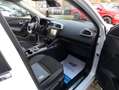 Renault Kadjar ENERGY dCi 110 EDC Limited Limited Blanc - thumbnail 15