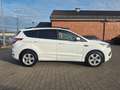 Ford Kuga ST-Line 4x4 Xenon Kamera Klimaautomatik Blanc - thumbnail 4