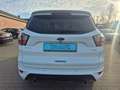 Ford Kuga ST-Line 4x4 Xenon Kamera Klimaautomatik Blanc - thumbnail 7