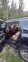 Volvo XC90 XC90 D5 A Executive Geartronic Executive Schwarz - thumbnail 11