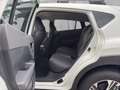 Subaru Crosstrek e-BOXER Style Weiß - thumbnail 6