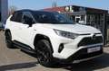 Toyota RAV 4 2.5 Hybrid AWD Bi-Tone 360 Leer Trekhaak! Wit - thumbnail 2