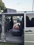 Mercedes-Benz Vito 115 CDI 4MATIC Long Argento - thumbnail 11