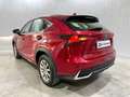 Lexus NX 300 300h Business Navigation 2WD Burdeos - thumbnail 6