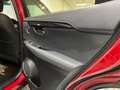 Lexus NX 300 300h Business Navigation 2WD Burdeos - thumbnail 29