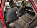 Lexus NX 300 300h Business Navigation 2WD Burdeos - thumbnail 34