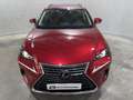 Lexus NX 300 300h Business Navigation 2WD Burdeos - thumbnail 16