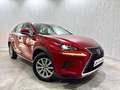 Lexus NX 300 300h Business Navigation 2WD Burdeos - thumbnail 2
