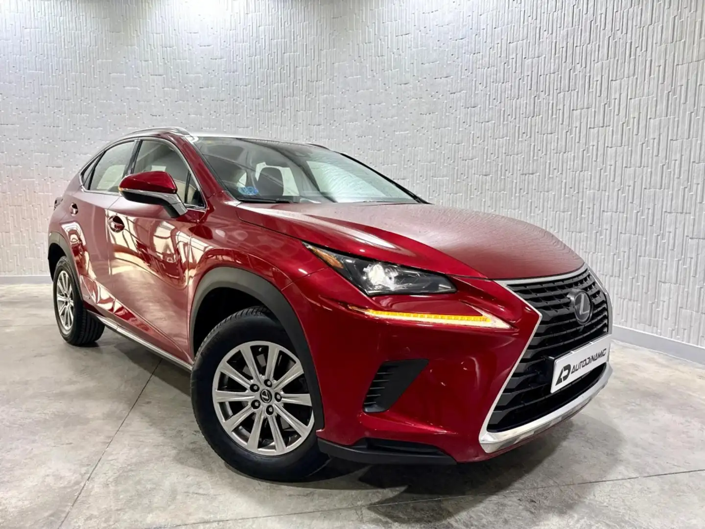 Lexus NX 300 300h Business Navigation 2WD Burdeos - 2