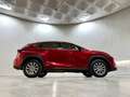 Lexus NX 300 300h Business Navigation 2WD Burdeos - thumbnail 14