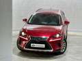 Lexus NX 300 300h Business Navigation 2WD Burdeos - thumbnail 21