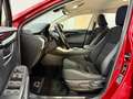 Lexus NX 300 300h Business Navigation 2WD Burdeos - thumbnail 8