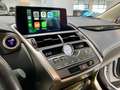 Lexus NX 300 300h Business Navigation 2WD Burdeos - thumbnail 23