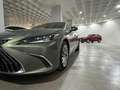 Lexus NX 300 300h Business Navigation 2WD Burdeos - thumbnail 22