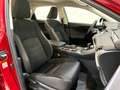 Lexus NX 300 300h Business Navigation 2WD Burdeos - thumbnail 27