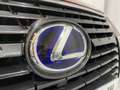 Lexus NX 300 300h Business Navigation 2WD Burdeos - thumbnail 36