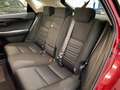 Lexus NX 300 300h Business Navigation 2WD Burdeos - thumbnail 32
