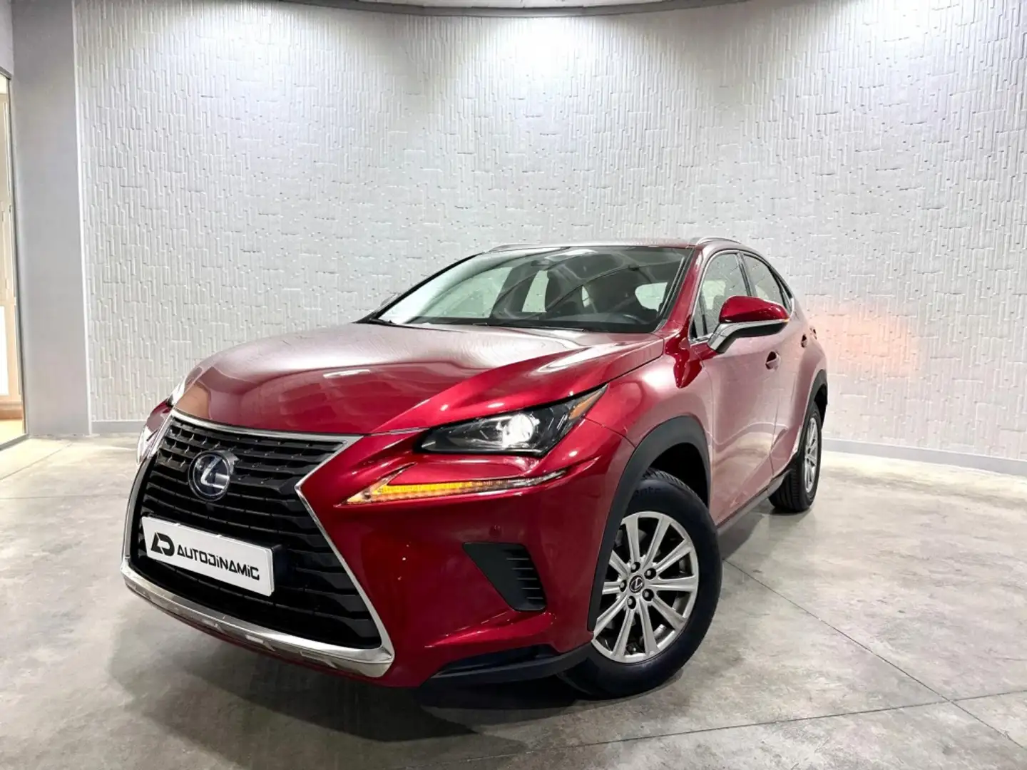 Lexus NX 300 300h Business Navigation 2WD Burdeos - 1