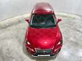 Lexus NX 300 300h Business Navigation 2WD Burdeos - thumbnail 18