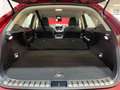 Lexus NX 300 300h Business Navigation 2WD Burdeos - thumbnail 39