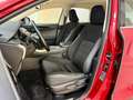 Lexus NX 300 300h Business Navigation 2WD Burdeos - thumbnail 13
