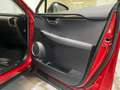 Lexus NX 300 300h Business Navigation 2WD Burdeos - thumbnail 30