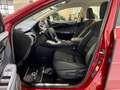 Lexus NX 300 300h Business Navigation 2WD Burdeos - thumbnail 26