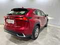 Lexus NX 300 300h Business Navigation 2WD Burdeos - thumbnail 5