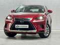 Lexus NX 300 300h Business Navigation 2WD Burdeos - thumbnail 19