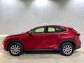 Lexus NX 300 300h Business Navigation 2WD Burdeos - thumbnail 3