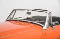 MG Midget MK III Oranje - thumbnail 22