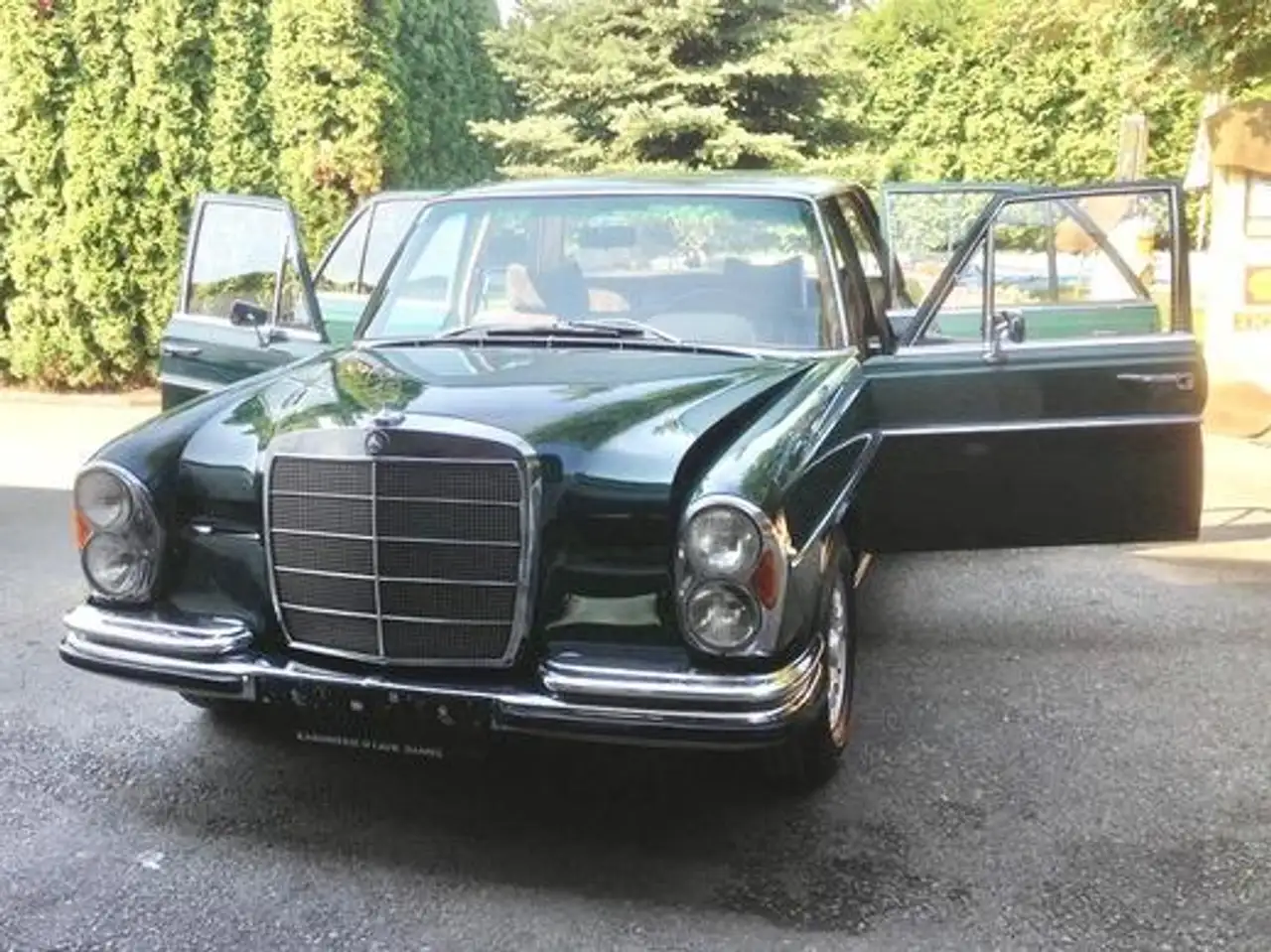 Mercedes-Benz SE 250, foto 2